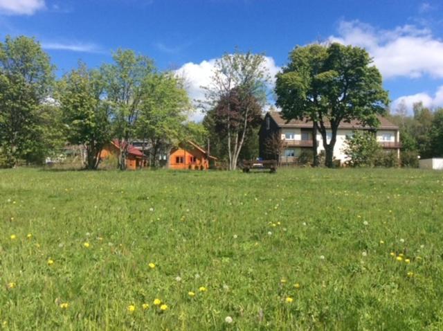 Ferienwohnung Harzblick 4 Braunlage Exteriör bild